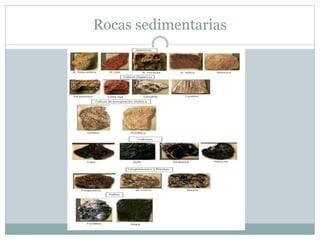 Rocas sedimentarias
 