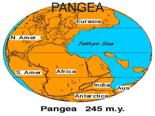 PANGEA
 