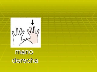 mano  derecha 