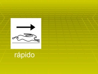 rápido 