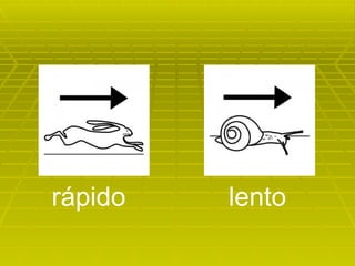 rápido lento 