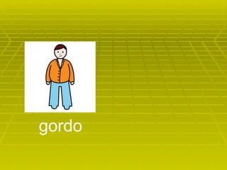 gordo 