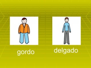delgado gordo 
