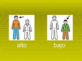 alto bajo 