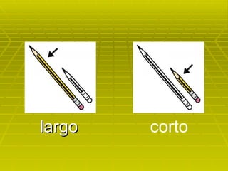 largo corto 