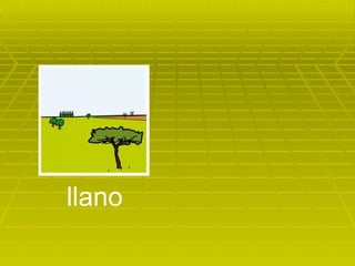 llano 