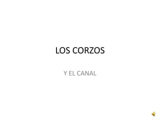 LOS CORZOS Y EL CANAL 