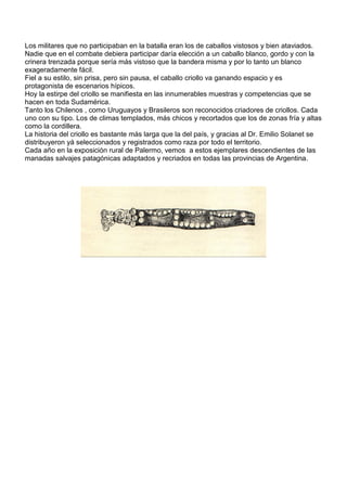 Los militares que no participaban en la batalla eran los de caballos vistosos y bien ataviados.
Nadie que en el combate debiera participar daría elección a un caballo blanco, gordo y con la
crinera trenzada porque sería más vistoso que la bandera misma y por lo tanto un blanco
exageradamente fácil.
Fiel a su estilo, sin prisa, pero sin pausa, el caballo criollo va ganando espacio y es
protagonista de escenarios hípicos.
Hoy la estirpe del criollo se manifiesta en las innumerables muestras y competencias que se
hacen en toda Sudamérica.
Tanto los Chilenos , como Uruguayos y Brasileros son reconocidos criadores de criollos. Cada
uno con su tipo. Los de climas templados, más chicos y recortados que los de zonas fría y altas
como la cordillera.
La historia del criollo es bastante más larga que la del país, y gracias al Dr. Emilio Solanet se
distribuyeron yá seleccionados y registrados como raza por todo el territorio.
Cada año en la exposición rural de Palermo, vemos a estos ejemplares descendientes de las
manadas salvajes patagónicas adaptados y recriados en todas las provincias de Argentina.
 