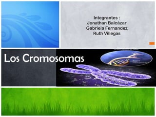 Integrantes :
Jonathan Balcázar
Gabriela Fernandez
Ruth Villegas
Los Cromosomas
 