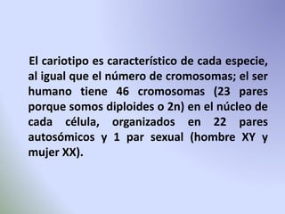 El cariotipo es característico de cada especie, 
al igual que el número de cromosomas; el ser 
humano tiene 46 cromosomas (23 pares 
porque somos diploides o 2n) en el núcleo de 
cada célula, organizados en 22 pares 
autosómicos y 1 par sexual (hombre XY y 
mujer XX). 
 