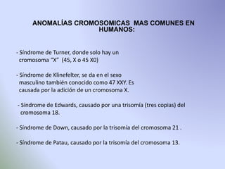 ANOMALÍAS CROMOSOMICAS MAS COMUNES EN 
HUMANOS: 
- Síndrome de Turner, donde solo hay un 
cromosoma “X” (45, X o 45 X0) 
- Síndrome de Klinefelter, se da en el sexo 
masculino también conocido como 47 XXY. Es 
causada por la adición de un cromosoma X. 
- Síndrome de Edwards, causado por una trisomía (tres copias) del 
cromosoma 18. 
- Síndrome de Down, causado por la trisomía del cromosoma 21 . 
- Síndrome de Patau, causado por la trisomía del cromosoma 13. 
