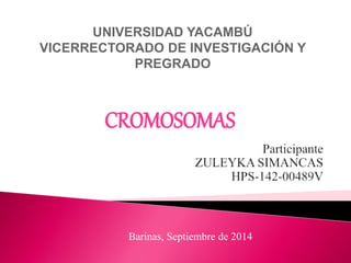 UNIVERSIDAD YACAMBÚ 
VICERRECTORADO DE INVESTIGACIÓN Y 
PREGRADO 
CROMOSOMAS 
Barinas, Septiembre de 2014 
 