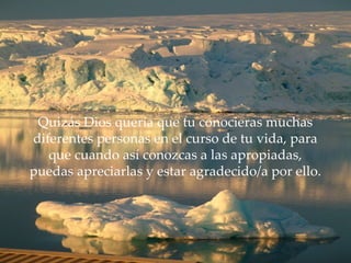 Quizás Dios quería que tu conocieras muchas diferentes personas en el curso de tu vida, para que cuando así conozcas a las apropiadas, puedas apreciarlas y estar agradecido/a por ello. 