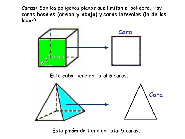 Los Cuerpos Geometricos