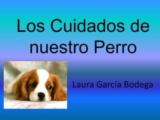 Los Cuidados de nuestro Perro Laura García Bodega 