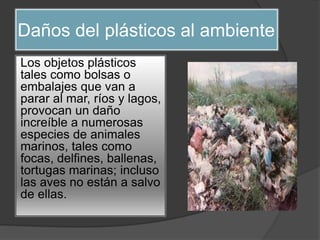 Daños del plásticos al ambiente
Los objetos plásticos
tales como bolsas o
embalajes que van a
parar al mar, ríos y lagos,
provocan un daño
increíble a numerosas
especies de animales
marinos, tales como
focas, delfines, ballenas,
tortugas marinas; incluso
las aves no están a salvo
de ellas.
 