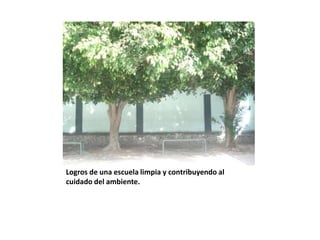 Logros de una escuela limpia y contribuyendo al
cuidado del ambiente.
 