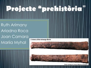 Projecte “prehistòria”

Ruth Arimany
Ariadna Roca
Joan Camara
Mariia Myhal
 