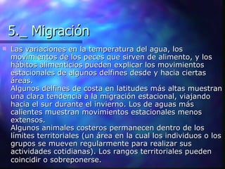 5._ Migración Las variaciones en la temperatura del agua, los movimientos de los peces que sirven de alimento, y los hábitos alimenticios pueden explicar los movimientos estacionales de algunos delfines desde y hacia ciertas áreas. Algunos delfines de costa en latitudes más altas muestran una clara tendencia a la migración estacional, viajando hacia el sur durante el invierno. Los de aguas más calientes muestran movimientos estacionales menos extensos. Algunos animales costeros permanecen dentro de los límites territoriales (un área en la cual los individuos o los grupos se mueven regularmente para realizar sus actividades cotidianas). Los rangos territoriales pueden coincidir o sobreponerse.   