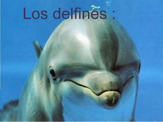 Los delfines : 