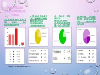 CALIFIQUE DEL 1 AL 5
SU
NIVEL
DE
CONOCIMIENTO
ACERCA
DE
LOS
DELFINES

¿ DE QUE GRUPO
DE MAMÍFEROS
TERRESTRES
DESCIENDEN
LOS DELFINES?

DANIELA MORA - MARIA MATUTE

LA COLA DEL
DELFIN
PROPORCIONA
LA MAYOR PARTE
DE LA FUERZA
DEL MOVIMIENTO

CUANTOS MESES
DURA GESTACION
DEL
PEQUEÑO
TUCUXI

16

 