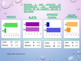 ESCOGE
A QUE
CETACEO
LE
PERTENECEN
LAS
SIGUIENTES
PARTES DE SU CUERPO. (DELFÍN O
BALLENA)

HOCICO

DANIELA MORA - MARIA MATUTE

ALETA
CAUDAL

APENDICE
CAUDAL

ALETAS
LATERALES

18

 