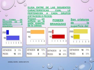 ELIGA ENTRE DE LAS SIGUIENTES
CARACTERÍSTICAS
CUAL
LE
PERTENECEN
A CADA GRUPOS
(CETÁCEOS O PECES)
SU
FORMA
NATACIÓN
ES
DERECHA
IZQUIERDA

DE
DE
A

Poseen
un
orificio en la
parte superior
de la cabeza

DANIELA MORA - MARIA MATUTE

POSEEN
BRANQUIAS

Son criaturas
de
la
superficie del

20

 