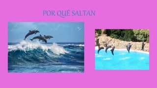 POR QUÉ SALTAN
 