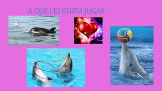 A QUÉ LES GUSTA JUGAR
 
