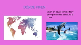 DÓNDE VIVEN
Viven en aguas templadas y
poco profundas, cerca de la
costa
 