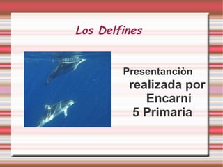 Los Delfines   ,[object Object]
