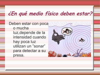 ¿En qué medio físico deben estar? Deben estar con poca o mucha luz,depende de la intensidad cuando hay poca luz utilizan un ”sonar” para detectar a su presa. 