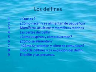 Los delfines
1
2
3
4
5
6
7
8
9
¿ Qué es ?
¿Cómo nacen y se alimentan de pequeños?
Mamíferos acuáticos y mamíferos marinos
Las partes del delfín
¿Como respiran y cómo duermen?
¿Cómo se alimentan?
¿Cómo se orientan y cómo se comunican?
Tipos de delfines y La evolución del delfín.
El delfín y las personas.