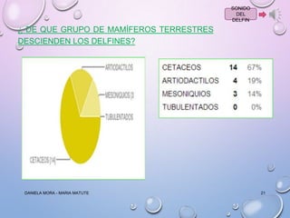 SONIDO
DEL
DELFIN

¿ DE QUE GRUPO DE MAMÍFEROS TERRESTRES
DESCIENDEN LOS DELFINES?

DANIELA MORA - MARIA MATUTE

21

 