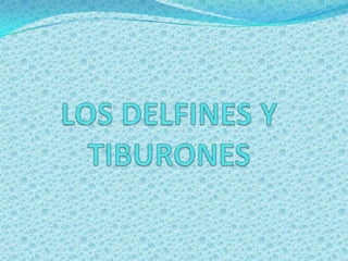 LOS DELFINES Y TIBURONES 