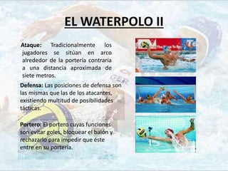 Portero: El portero cuyas funciones
son evitar goles, bloquear el balón y
rechazarlo para impedir que éste
entre en su portería.
Defensa: Las posiciones de defensa son
las mismas que las de los atacantes,
existiendo multitud de posibilidades
tácticas.
EL WATERPOLO II
Ataque: Tradicionalmente los
jugadores se sitúan en arco
alrededor de la portería contraria
a una distancia aproximada de
siete metros.
 