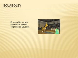 ECUABOLEY



   El ecuavóley es una
   variante de voleibol
   originaria de Ecuador.
 