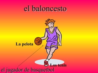 el baloncestoel baloncesto
el jugador de basquetbolel jugador de basquetbol
La pelota
Los tenis
 