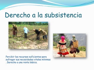 Derecho a la subsistenciaPercibir los recursos suficientes para sufragar sus necesidades vitales mínimas . Derecho a una renta básica.
