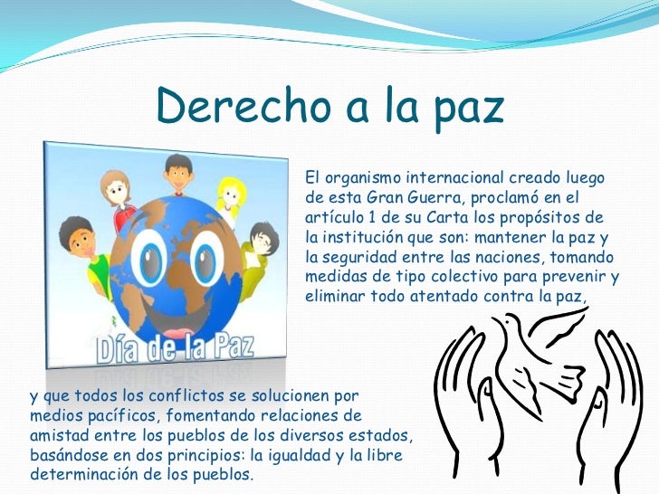 Los derechos constitucionales