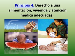 Principio 4. Derecho a una
alimentación, vivienda y atención
médica adecuadas.

 