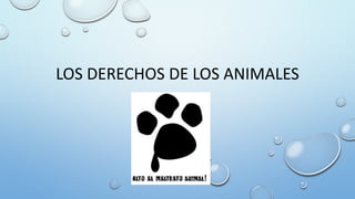 LOS DERECHOS DE LOS ANIMALES
 