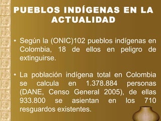 Los derechos de los pueblos indigenas en colombia | PPTX