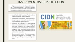 INSTRUMENTOS DE PROTECCIÓN
 