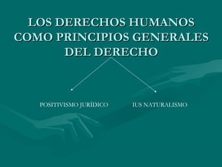 LOS DERECHOS HUMANOS
COMO PRINCIPIOS GENERALES
       DEL DERECHO



   POSITIVISMO JURÍDICO   IUS NATURALISMO
 