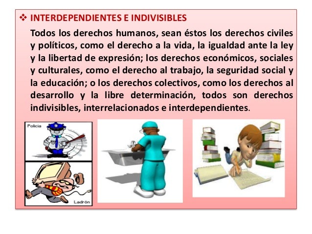 Los derechos humanos de rosa