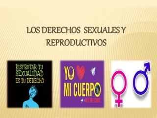 LOS DERECHOS SEXUALES Y
REPRODUCTIVOS
 