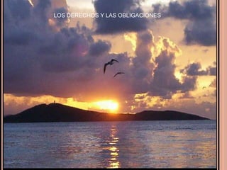 LOS DERECHOS Y LAS OBLIGACIONES