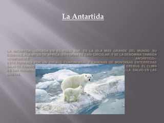 La Antartida

 