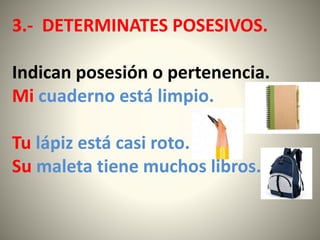 3.- DETERMINATES POSESIVOS.
Indican posesión o pertenencia.
Mi cuaderno está limpio.
Tu lápiz está casi roto.
Su maleta tiene muchos libros.
 